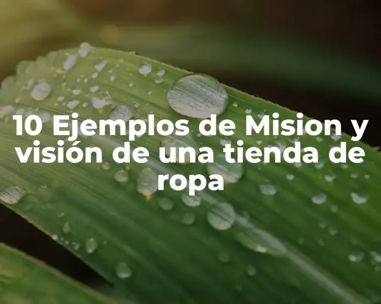 10 Ejemplos de Mision y visión de una tienda de ropa