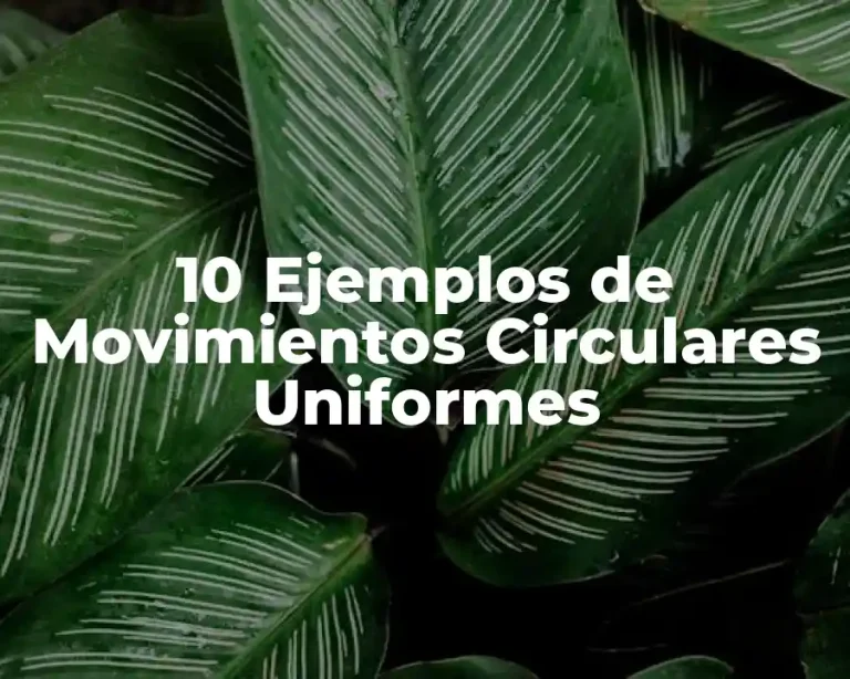 10 Ejemplos de Movimientos Circulares Uniformes