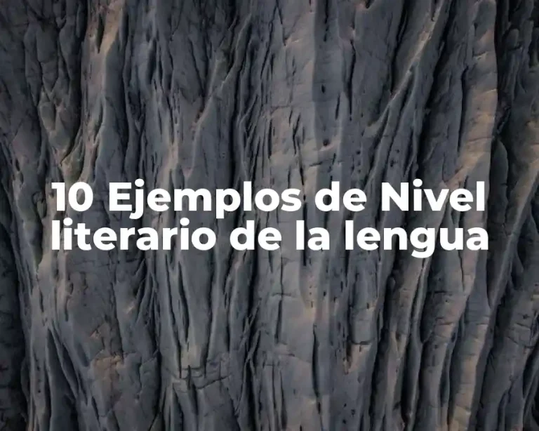 10 Ejemplos de Nivel literario de la lengua