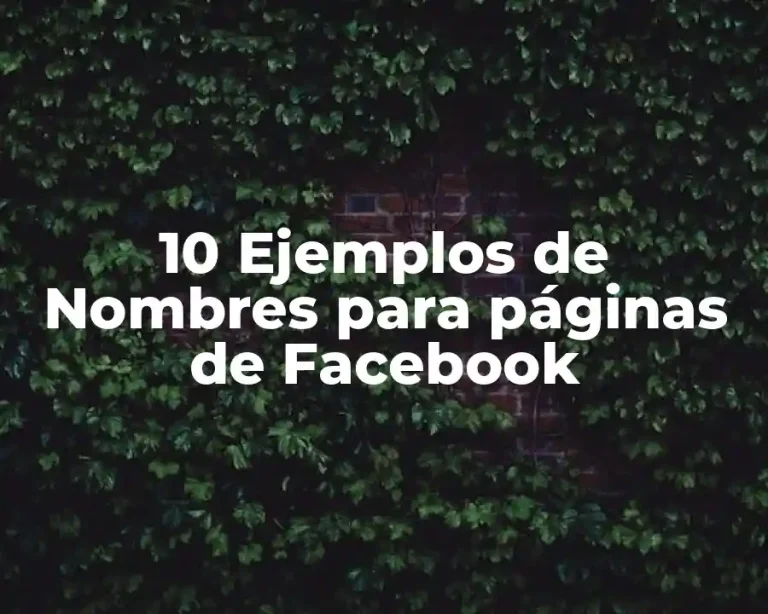 10 Ejemplos de Nombres para páginas de Facebook