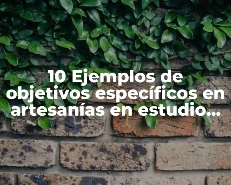 10 Ejemplos de objetivos específicos en artesanías en estudio de mercado