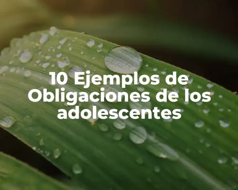 10 Ejemplos de Obligaciones de los adolescentes