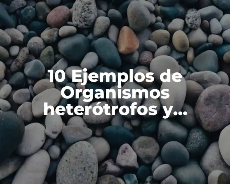 10 Ejemplos de Organismos heterótrofos y autótrofos