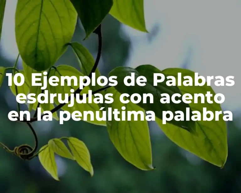 10 Ejemplos de Palabras esdrujulas con acento en la penúltima palabra
