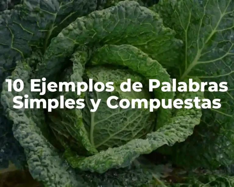 10 Ejemplos de Palabras Simples y Compuestas