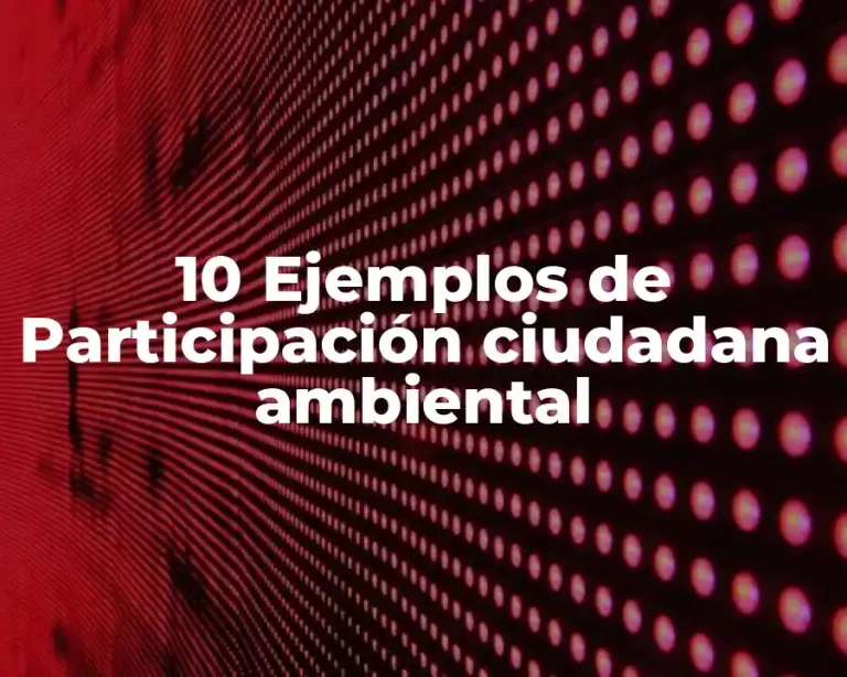10 Ejemplos de Participación ciudadana ambiental