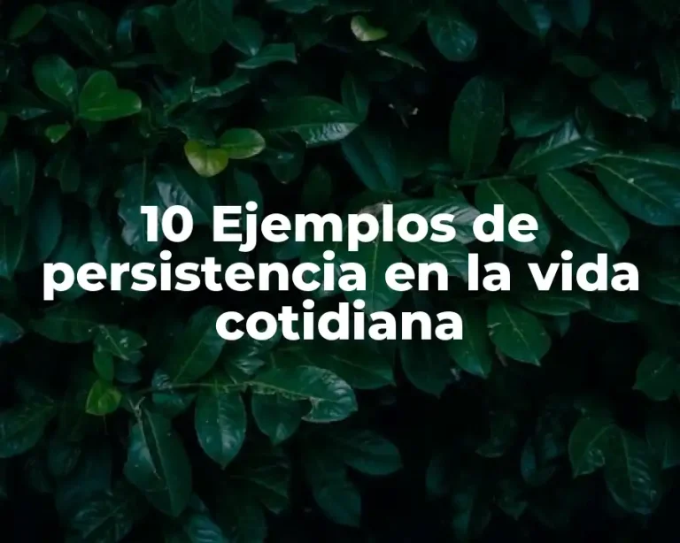 10 Ejemplos de persistencia en la vida cotidiana