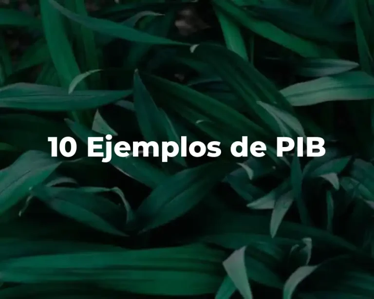 10 Ejemplos de PIB