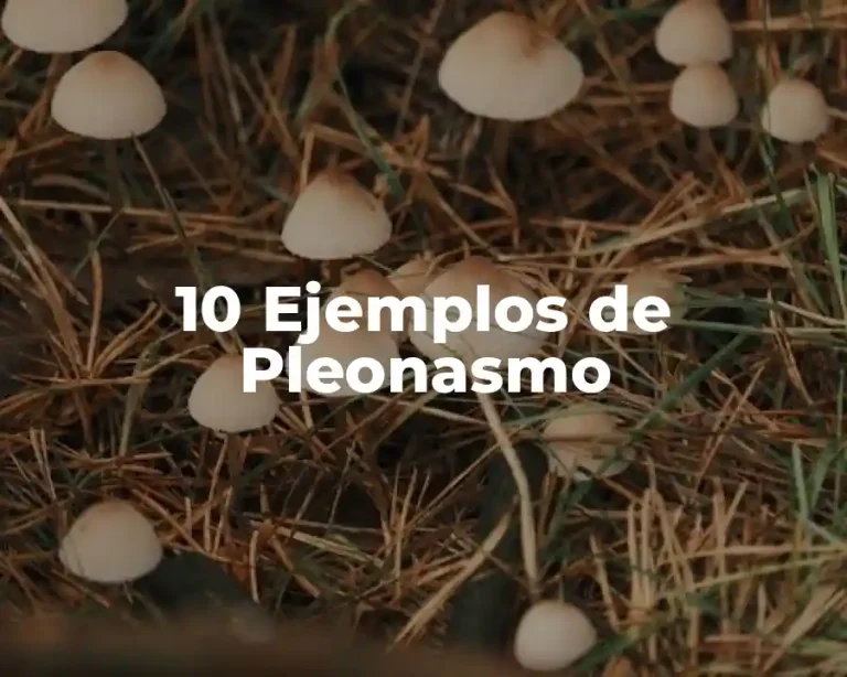 10 Ejemplos de Pleonasmo