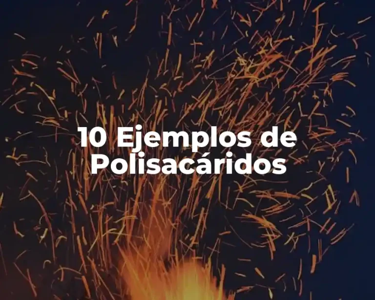 10 Ejemplos de Polisacáridos