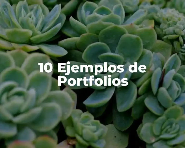 10 Ejemplos de Portfolios