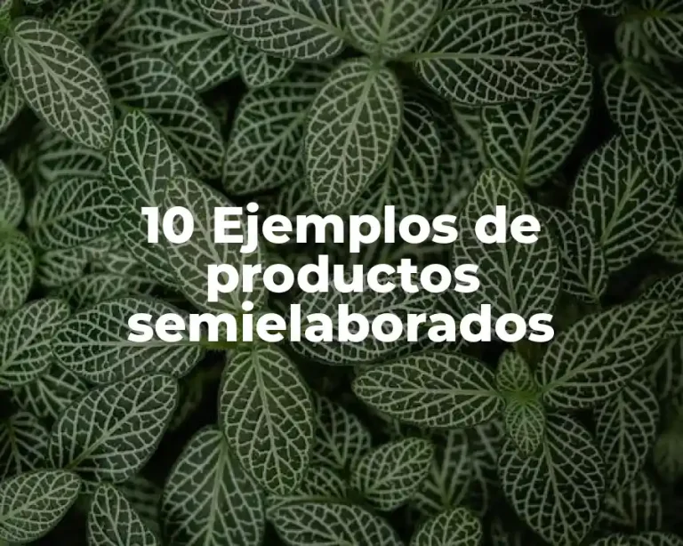 10 Ejemplos de productos semielaborados