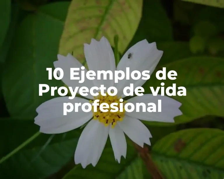 10 Ejemplos de Proyecto de vida profesional