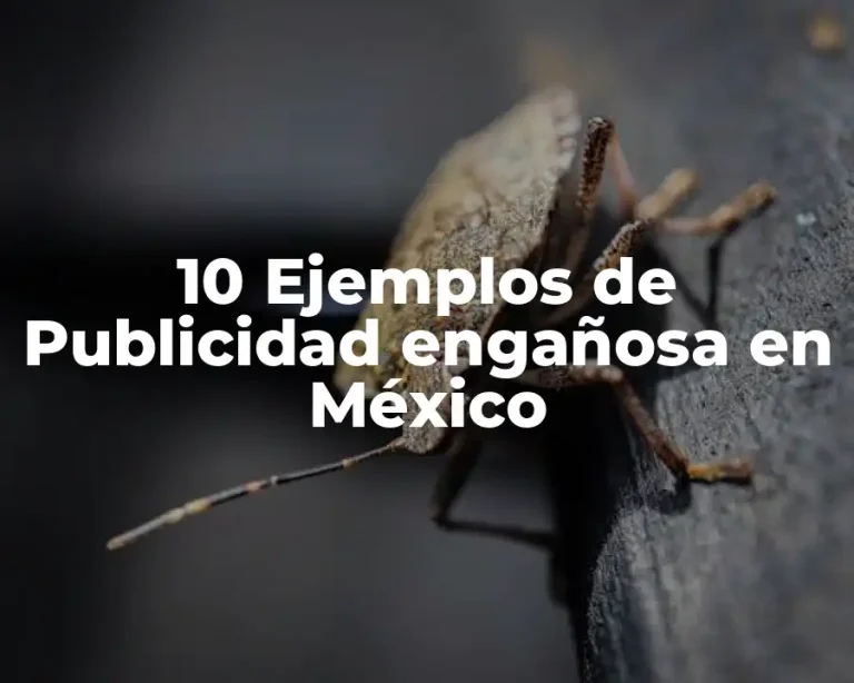 10 Ejemplos de Publicidad engañosa en México