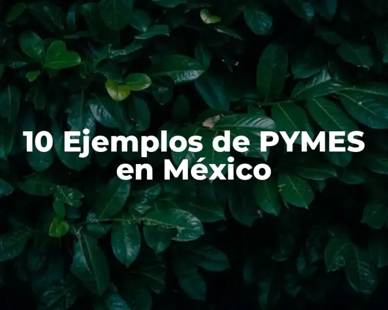 10 Ejemplos de PYMES en México