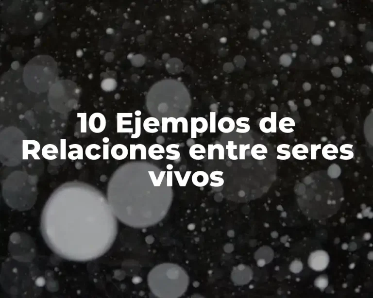 10 Ejemplos de Relaciones entre seres vivos