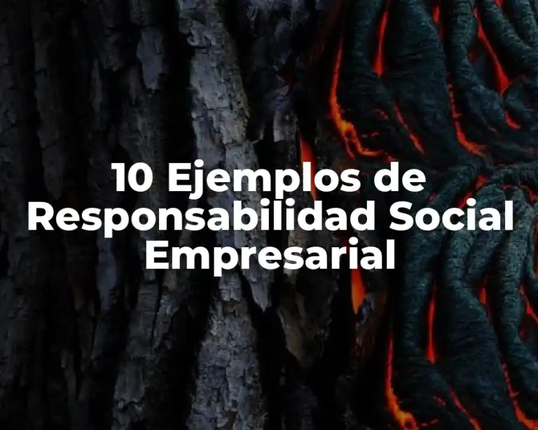 10 Ejemplos de Responsabilidad Social Empresarial