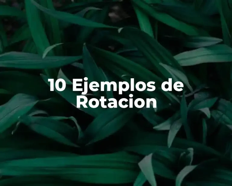 10 Ejemplos de Rotacion