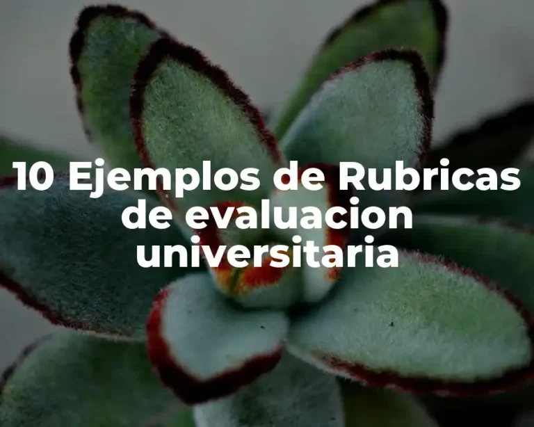 10 Ejemplos de Rubricas de evaluacion universitaria