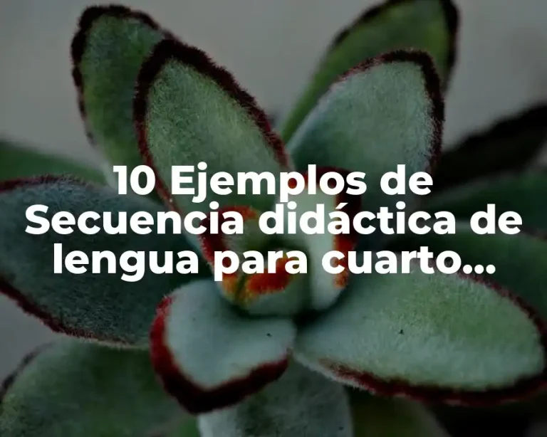 10 Ejemplos de Secuencia didáctica de lengua para cuarto grado