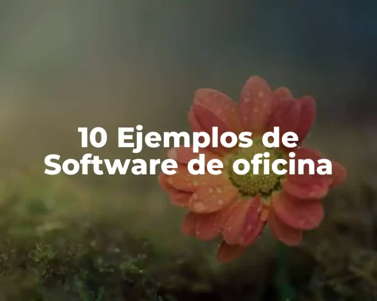 10 Ejemplos de Software de oficina