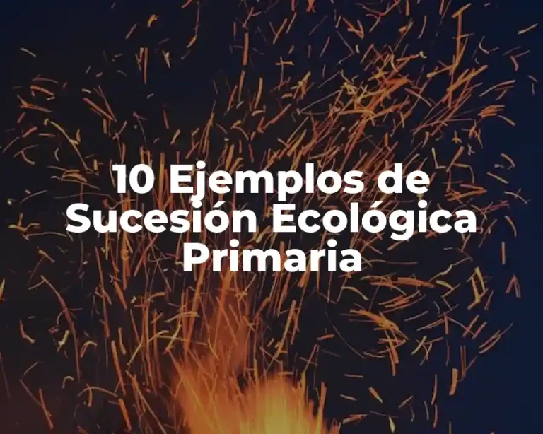 10 Ejemplos de Sucesión Ecológica Primaria