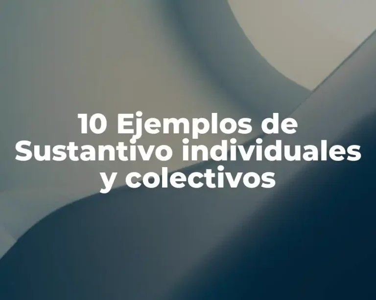 10 Ejemplos de Sustantivo individuales y colectivos