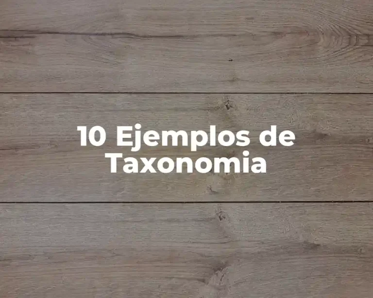 10 Ejemplos de Taxonomia