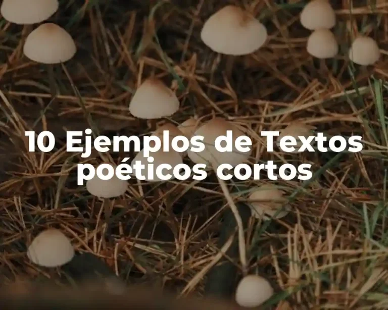 10 Ejemplos de Textos poéticos cortos