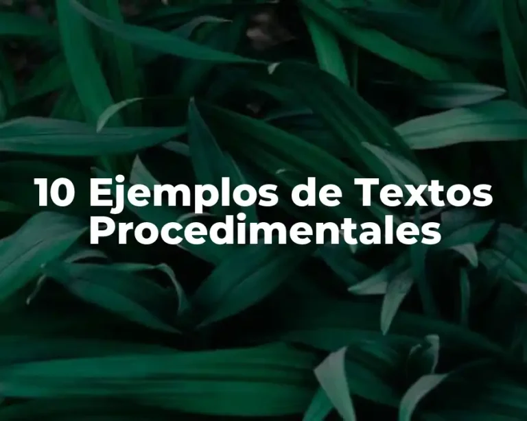 10 Ejemplos de Textos Procedimentales