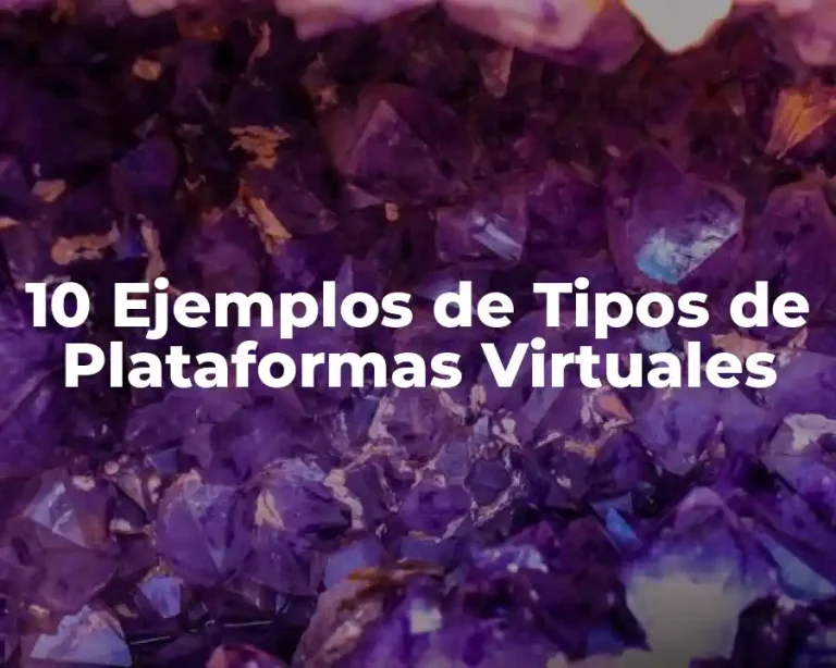 10 Ejemplos de Tipos de Plataformas Virtuales