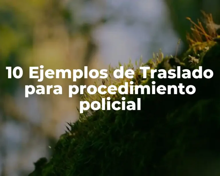 10 Ejemplos de Traslado para procedimiento policial