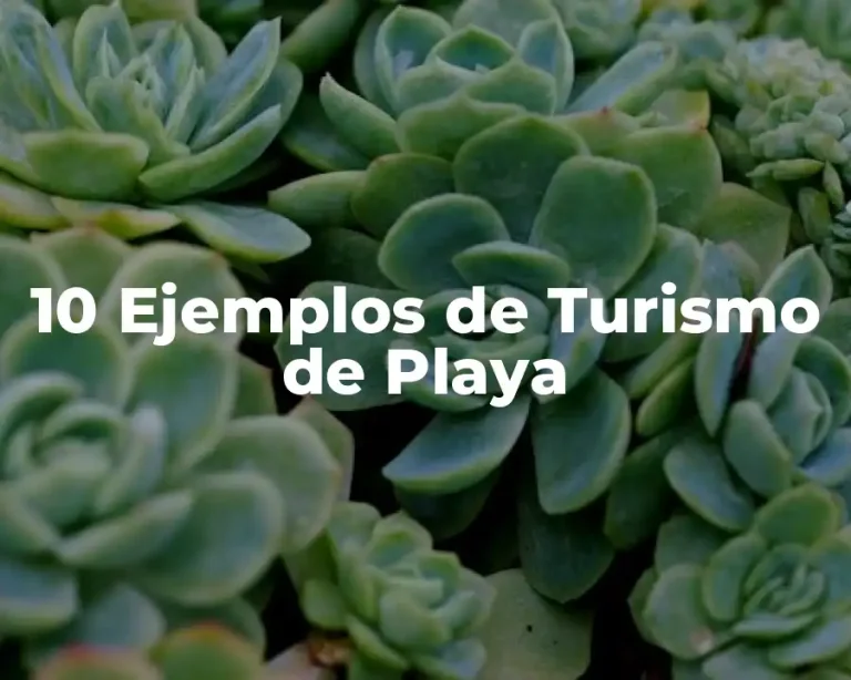 10 Ejemplos de Turismo de Playa