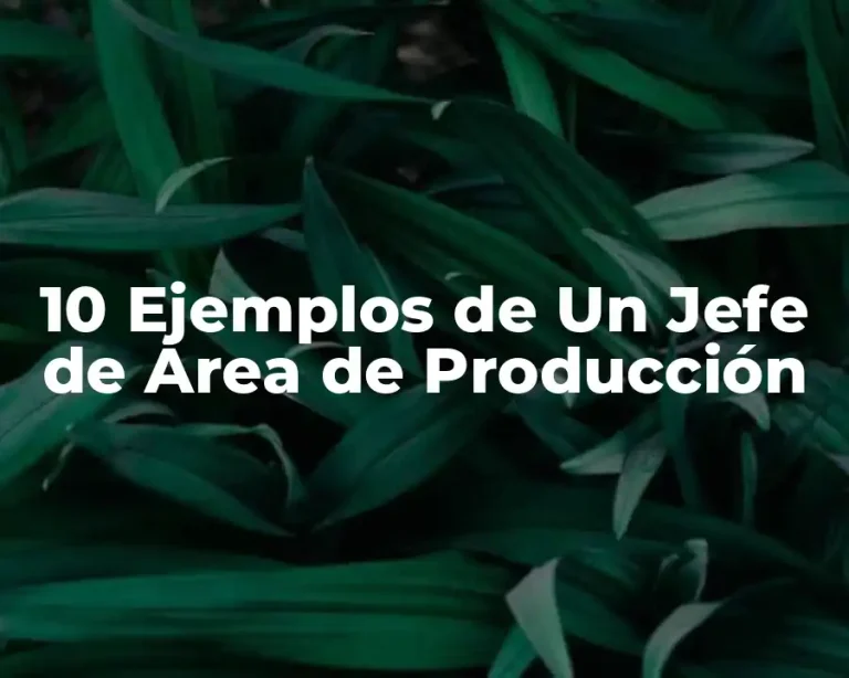 10 Ejemplos de Un Jefe de Área de Producción