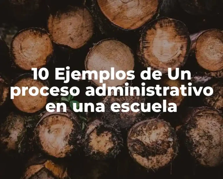 10 Ejemplos de Un proceso administrativo en una escuela