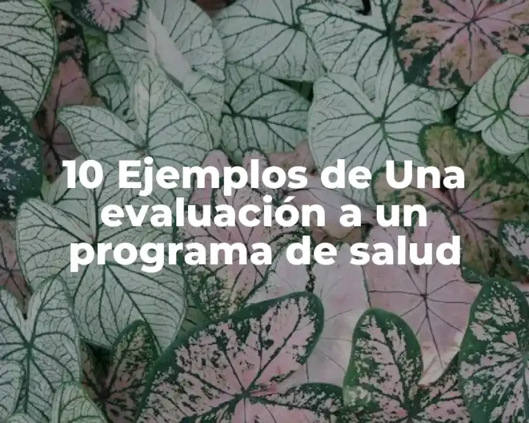 10 Ejemplos de Una evaluación a un programa de salud