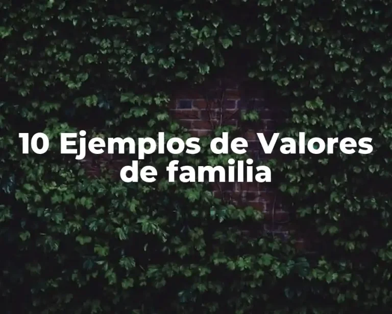 10 Ejemplos de Valores de familia