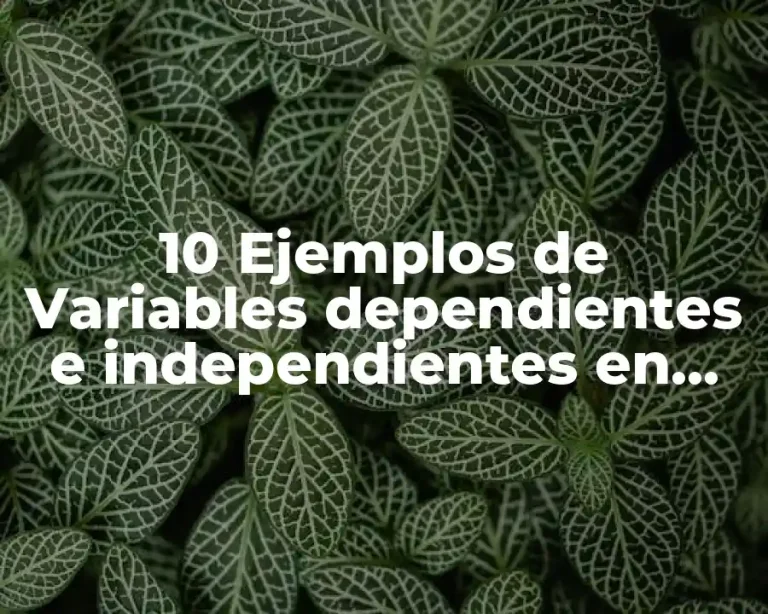 10 Ejemplos de Variables dependientes e independientes en administración
