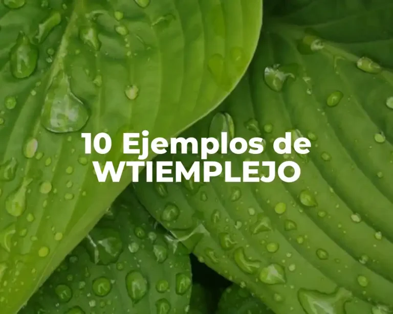 10 Ejemplos de WTIEMPLEJO