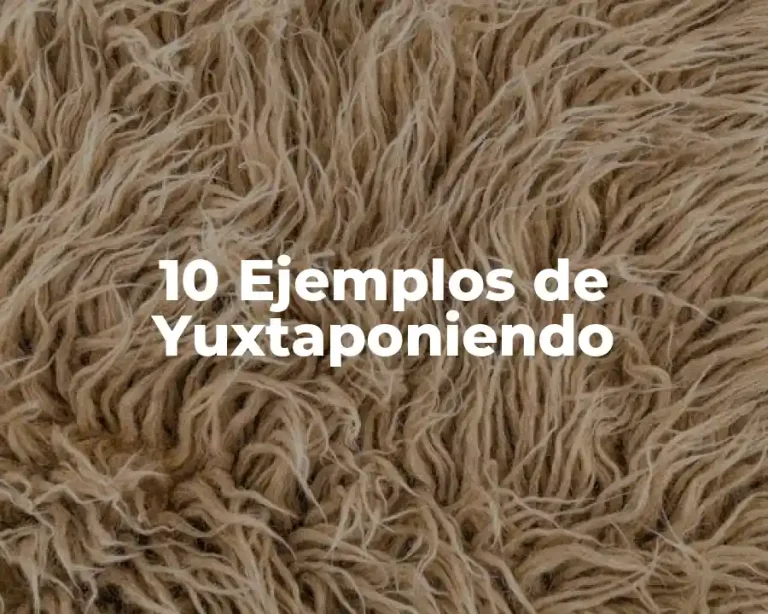 10 Ejemplos de Yuxtaponiendo