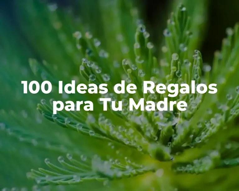 100 Ideas de Regalos para Tu Madre