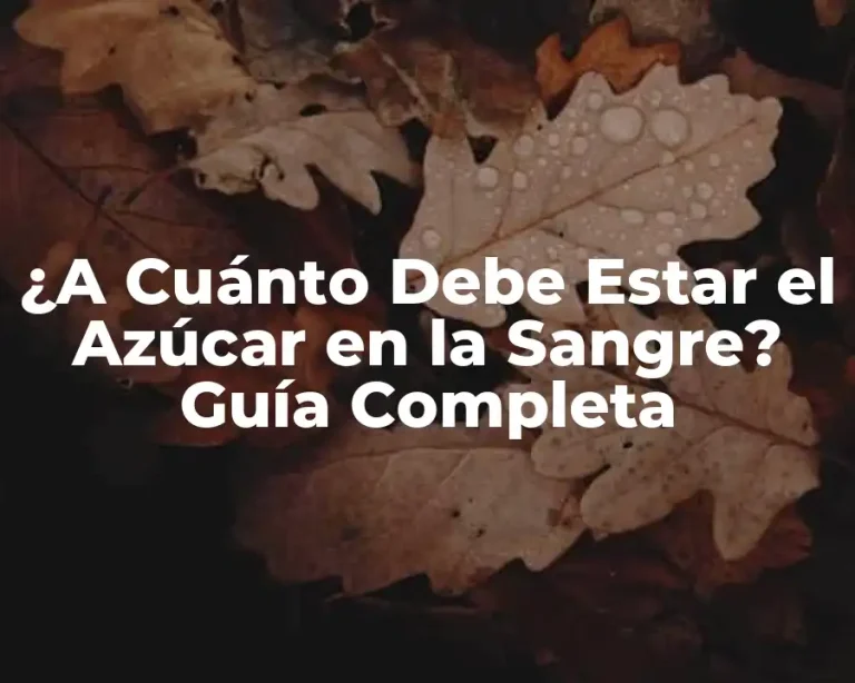 ¿A Cuánto Debe Estar el Azúcar en la Sangre? Guía Completa