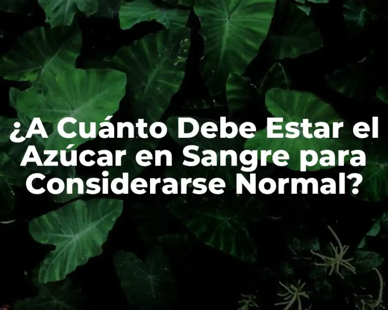 ¿A Cuánto Debe Estar el Azúcar en Sangre para Considerarse Normal?