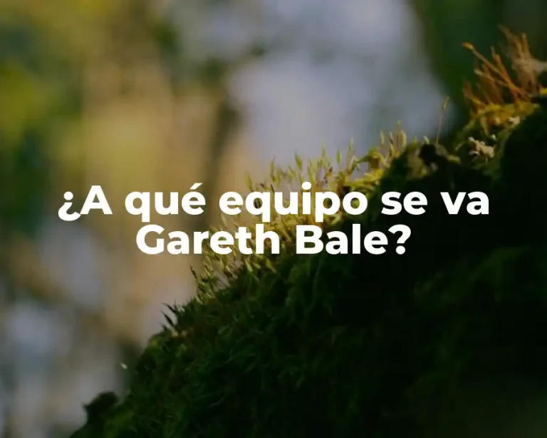 ¿A qué equipo se va Gareth Bale?