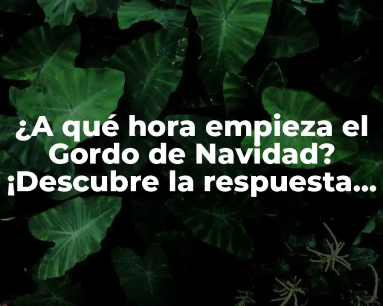 ¿A qué hora empieza el Gordo de Navidad? ¡Descubre la respuesta aquí!