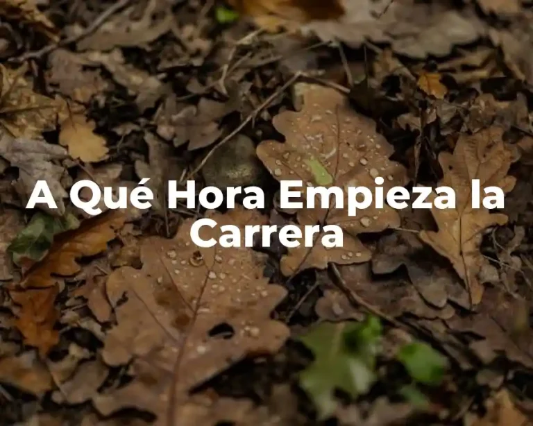 A Qué Hora Empieza la Carrera