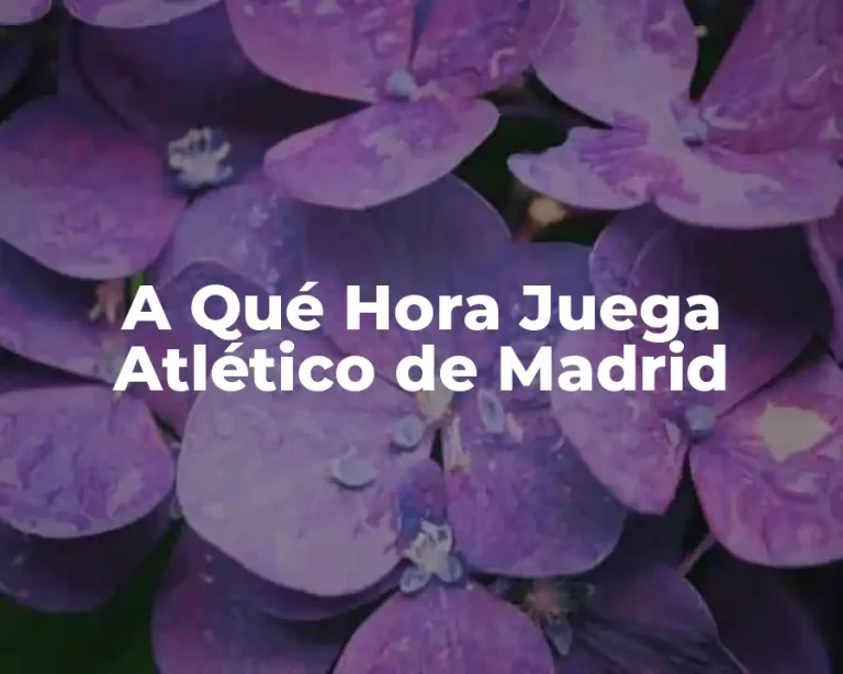 A Qué Hora Juega Atlético de Madrid