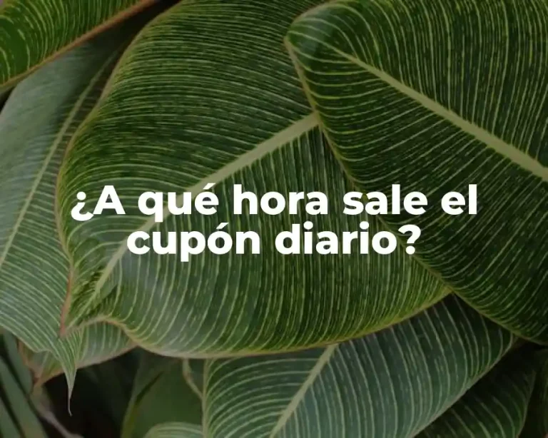¿A qué hora sale el cupón diario?