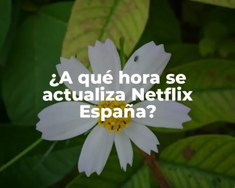 ¿A qué hora se actualiza Netflix España?
