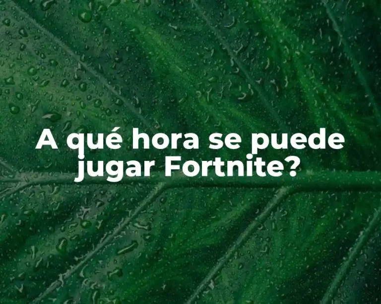A qué hora se puede jugar Fortnite?
